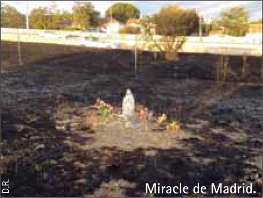 Miracle de Madrid